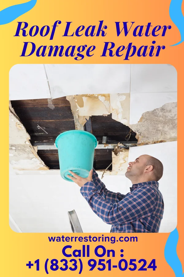 Roof Leak Water Damage Repair in Hutchinson Island South, FL