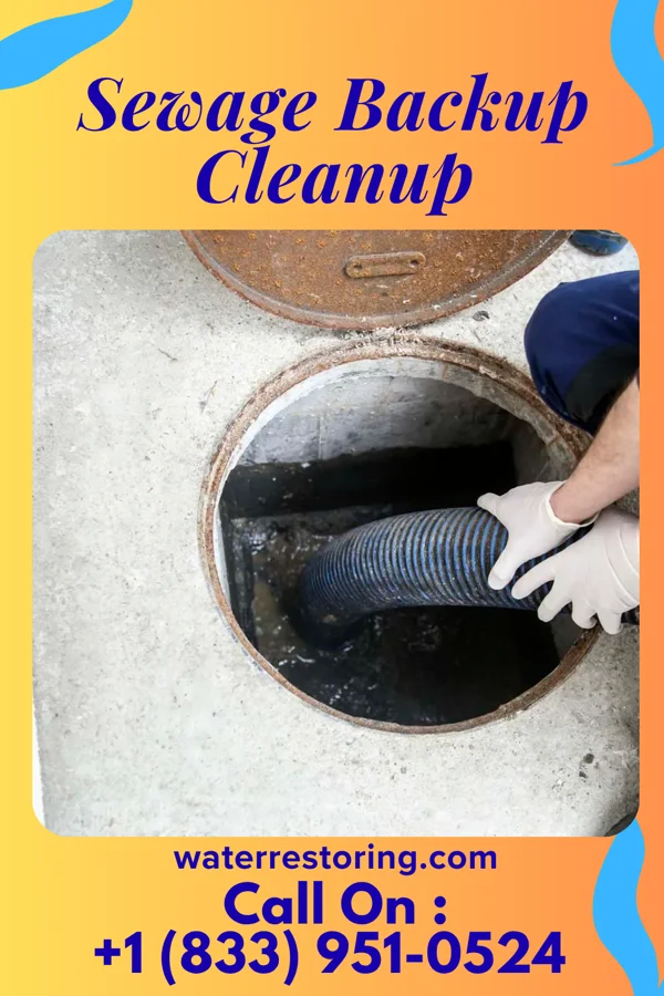 Sewage Backup Cleanup in Hutchinson Island South, FL